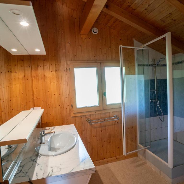 Chalet Picard - Châtel Réservation - Chalet 1 Chambre - 11
