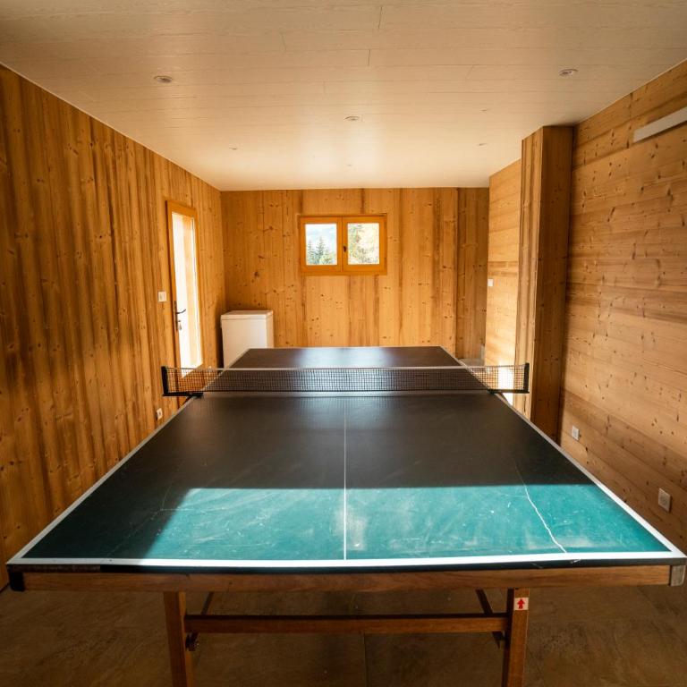 Chalet Picard - Châtel Réservation - Chalet 1 Chambre - 21