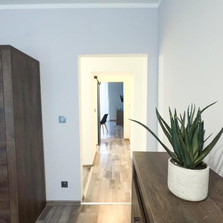 Residenza Santa Anastasia At Piazza Erbe Blu Charme with lift and AC - Appartamento con 1 Camera da Letto - 15