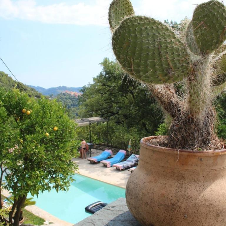 La Bergerie Vue Mer et piscine - Proche de Nice - Appartement - 19