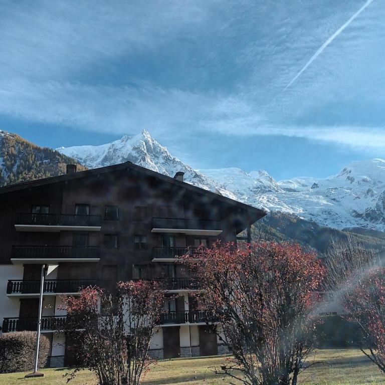 Appartement La Jonction CHAMONIX - Apartment mit 2 Schlafzimmern - 2