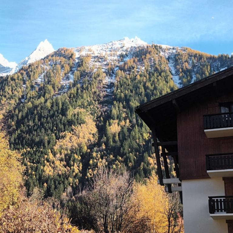 Appartement La Jonction CHAMONIX - Apartment mit 2 Schlafzimmern - 9
