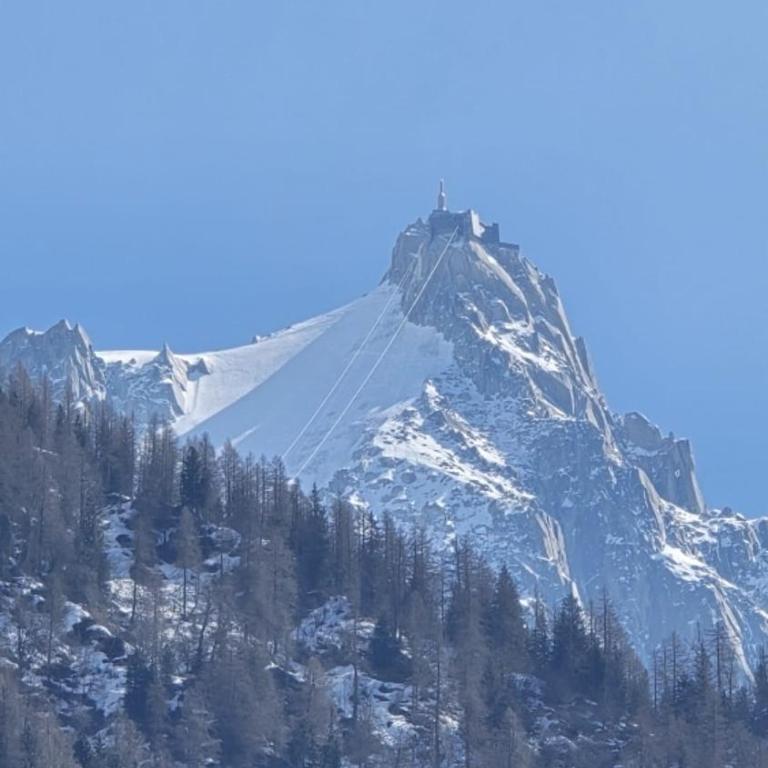 Appartement La Jonction CHAMONIX - Apartment mit 2 Schlafzimmern - 23