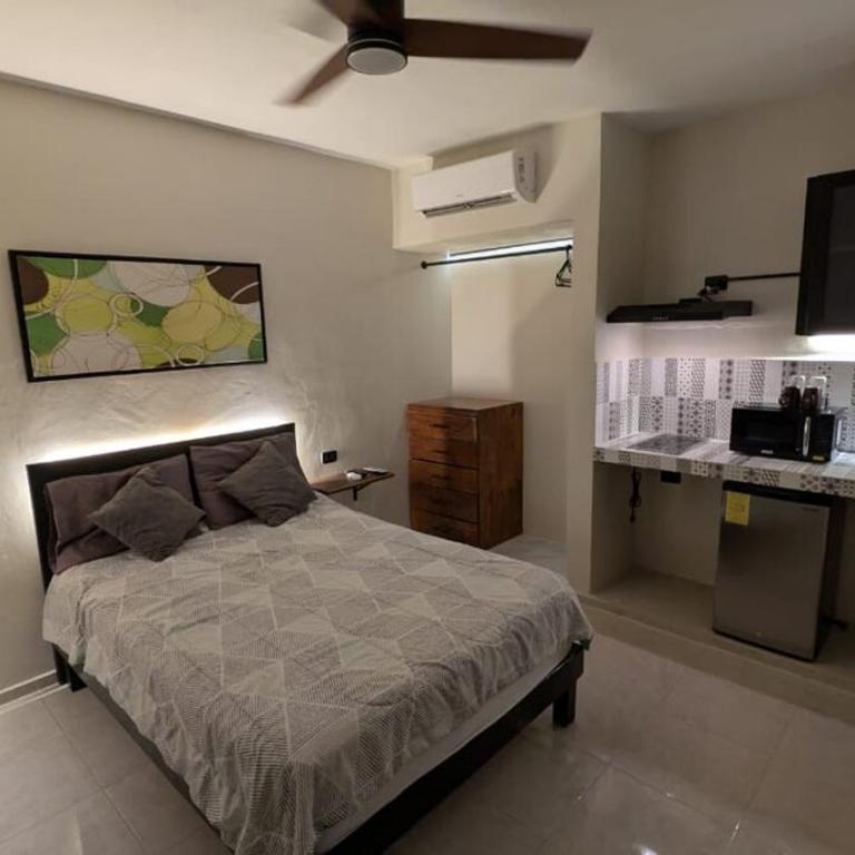 Studio-Habitacion - One-Bedroom Apartment - 1