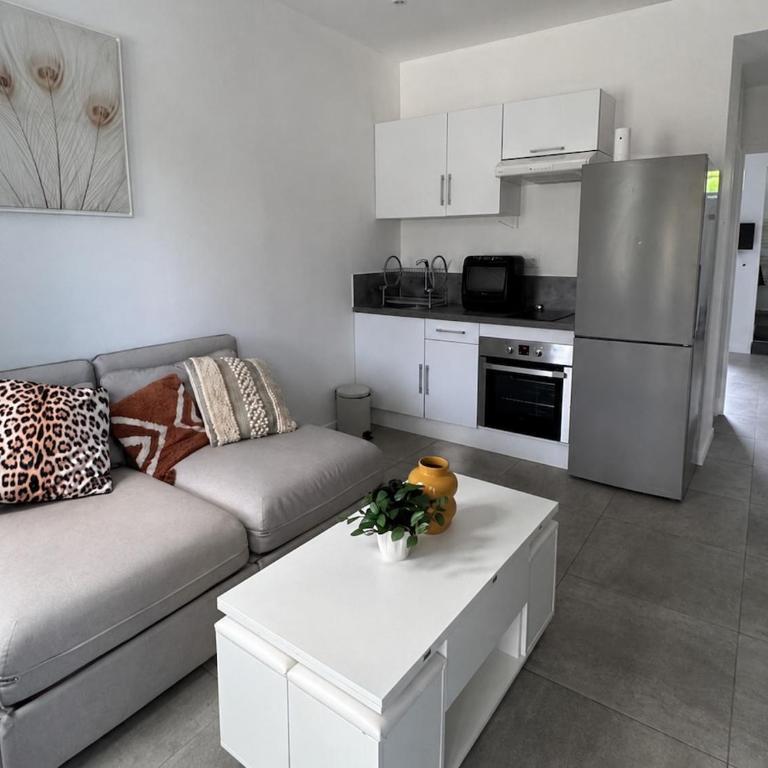 Charmant 2 pièces avec terrasses - Appartement 1 Chambre - 1