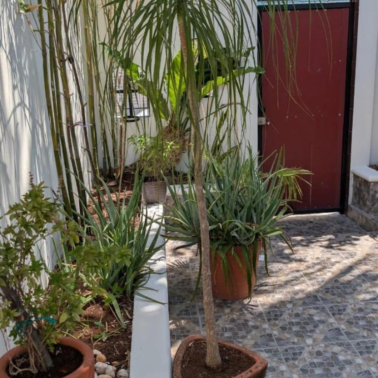 Studio-Habitacion - One-Bedroom Apartment - 4