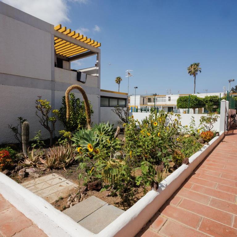 Apartment in Costa del Silencio - Solis Solis - Apartamento de 2 dormitorios - 4
