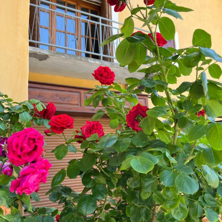 Le Pied de Ville Pouzenc - Appartement 2 Chambres - 14