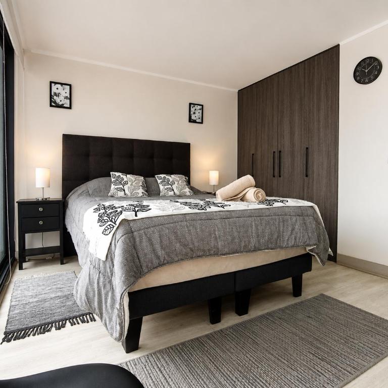 Frente a Hospital U de Chile - One-Bedroom Apartment - 4
