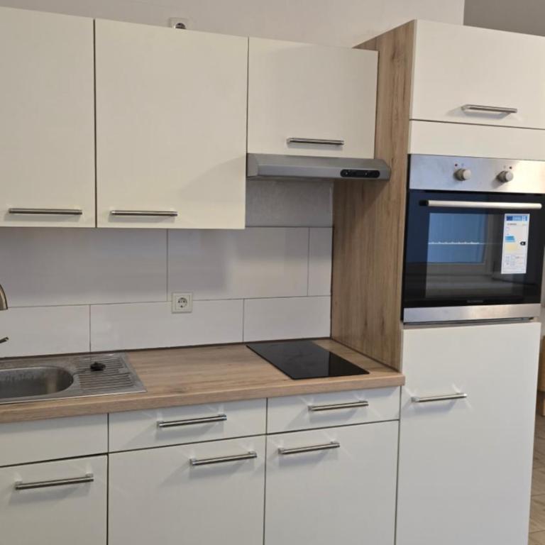 Hanin Zimmer - One-Bedroom Apartment - 3