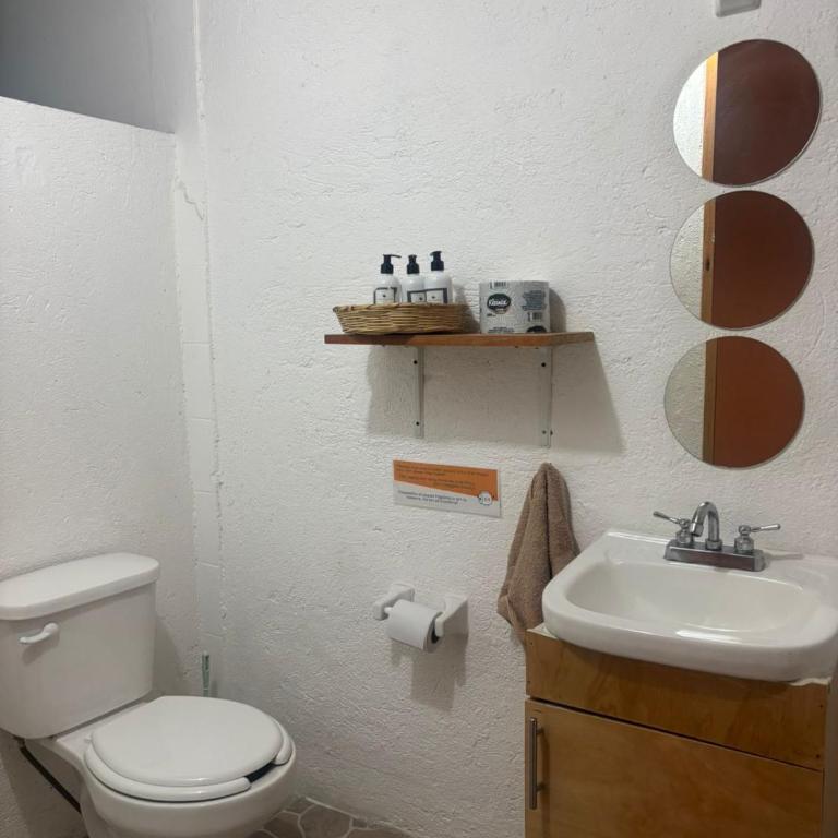 Hostel Casa Maguey - Chambre Double avec Salle de Bains Privative - 4