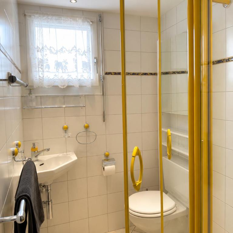 Alpen Apartment I Laax I Ski I See I Familie I Gratis Parkplatz - Apartment mit 1 Schlafzimmer - 20