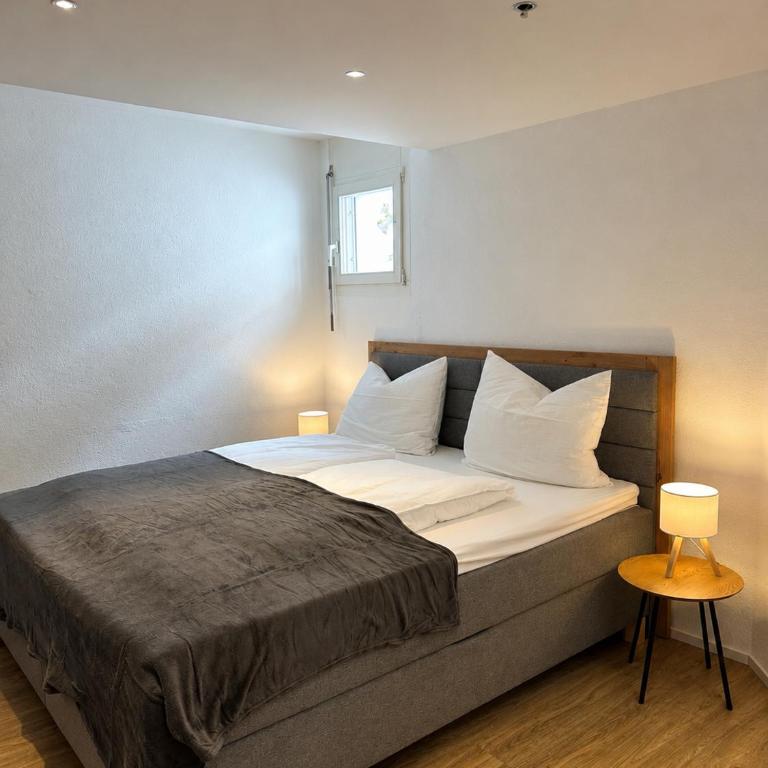 Alpen Apartment I Laax I Ski I See I Familie I Gratis Parkplatz - Apartment mit 1 Schlafzimmer - 5