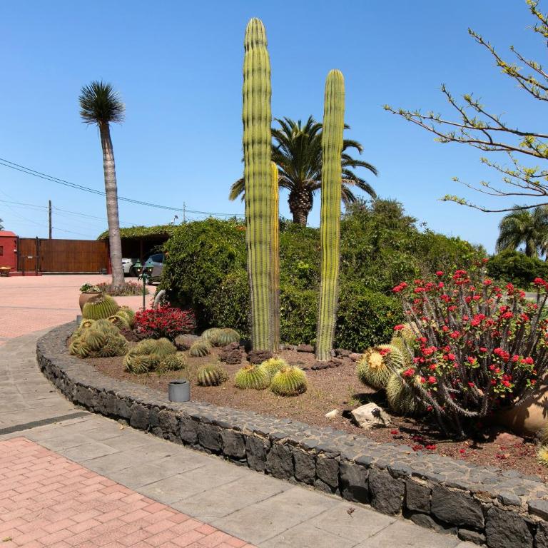 Finca Robles 2 - Apartamento Estudio con vistas al mar - 30