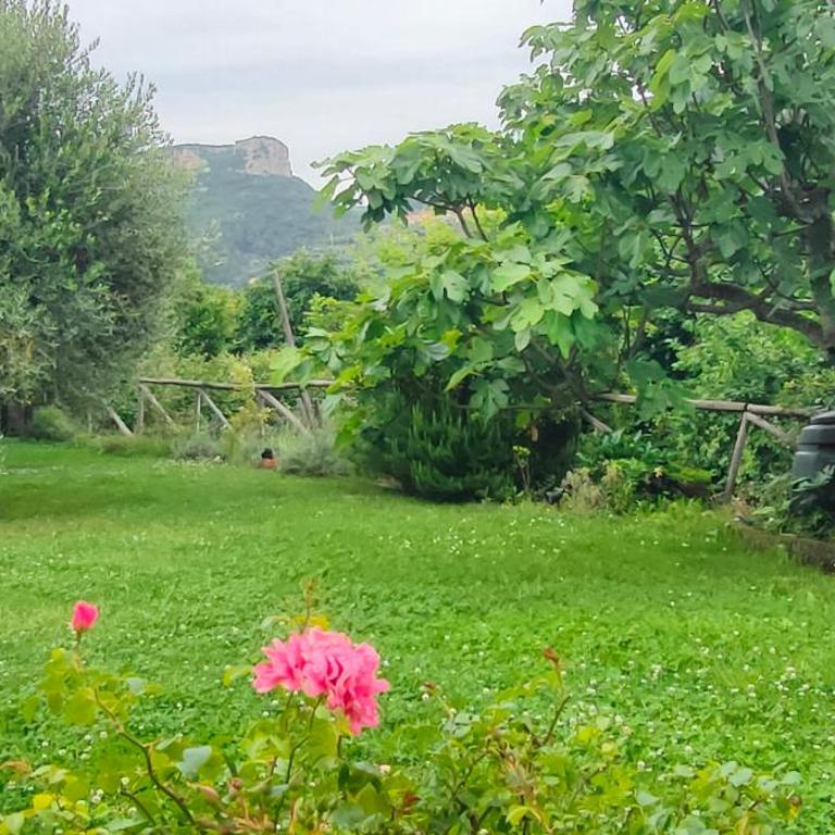 Papaveri Rossi - Appartamento con 1 Camera da Letto - 23