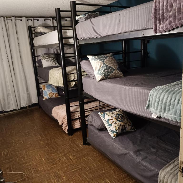 Bunk bed Apt - Gemischter Schlafsaal mit 6 Betten - 1