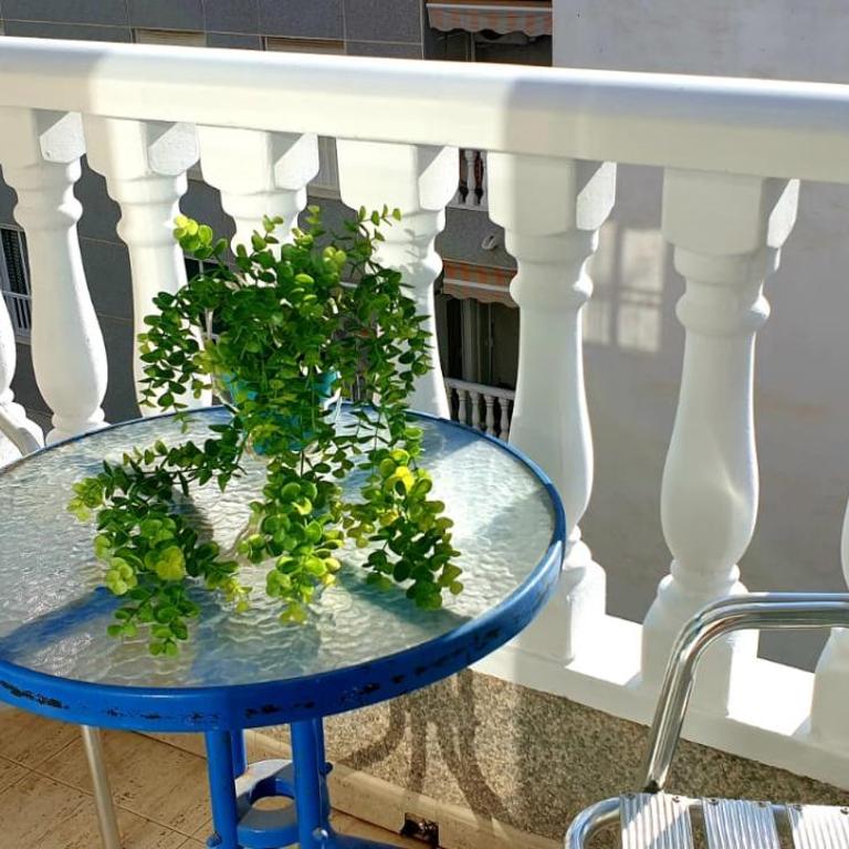 TORREVIEJA apartamento - Apartment mit 2 Schlafzimmern - 15