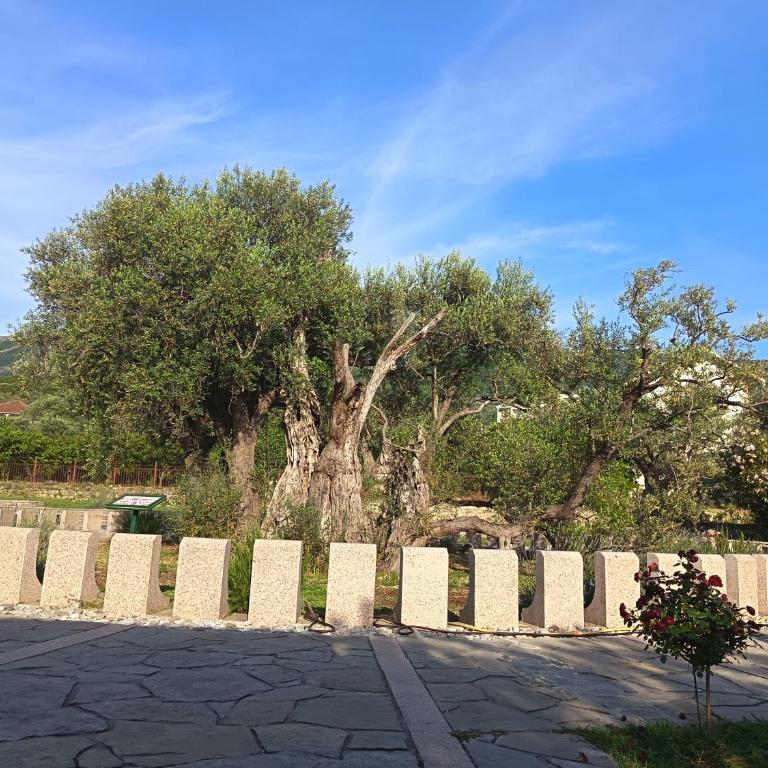 Whisper of Olives - One-Bedroom Apartment - 34