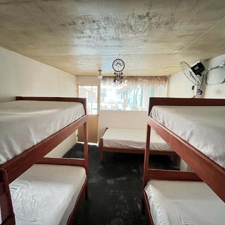 Palo Verde House - Single Bed in Female Dormitory Room - 3