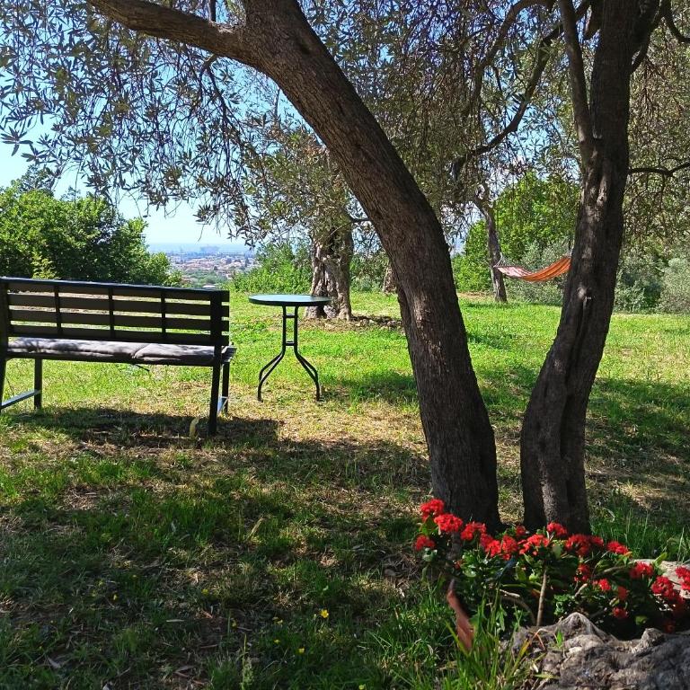 Whisper of Olives - One-Bedroom Apartment - 28