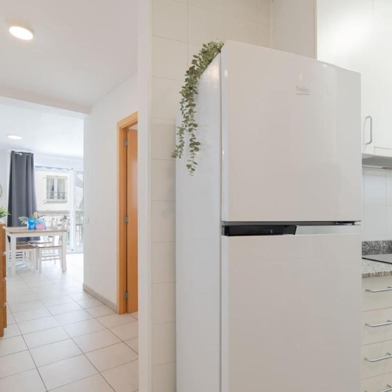 Cute Apt 50m from Beach - Bonaire by PG - Apartamento - 10