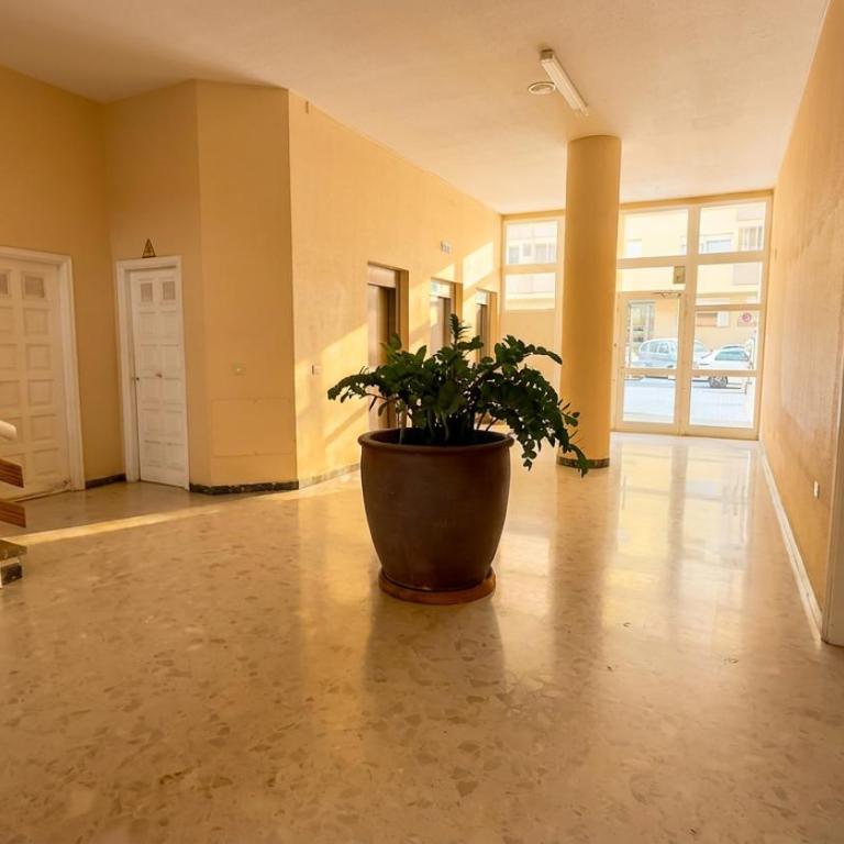 Oceanside Apartment in El Medano - Apartamento de 1 dormitorio - 21