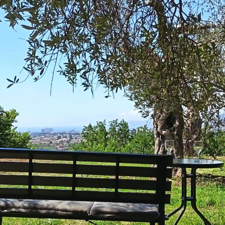 Whisper of Olives - One-Bedroom Apartment - 21