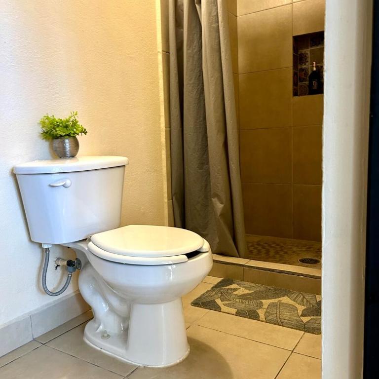 Estudio #4 a 5 min del malecon - Appartement 1 Chambre - 8