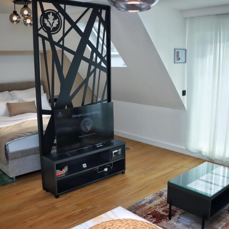 Jovana apartman spa - Apartman sa 1 Spavaćom Sobom, Balkonom i Pogledom na Grad - 3