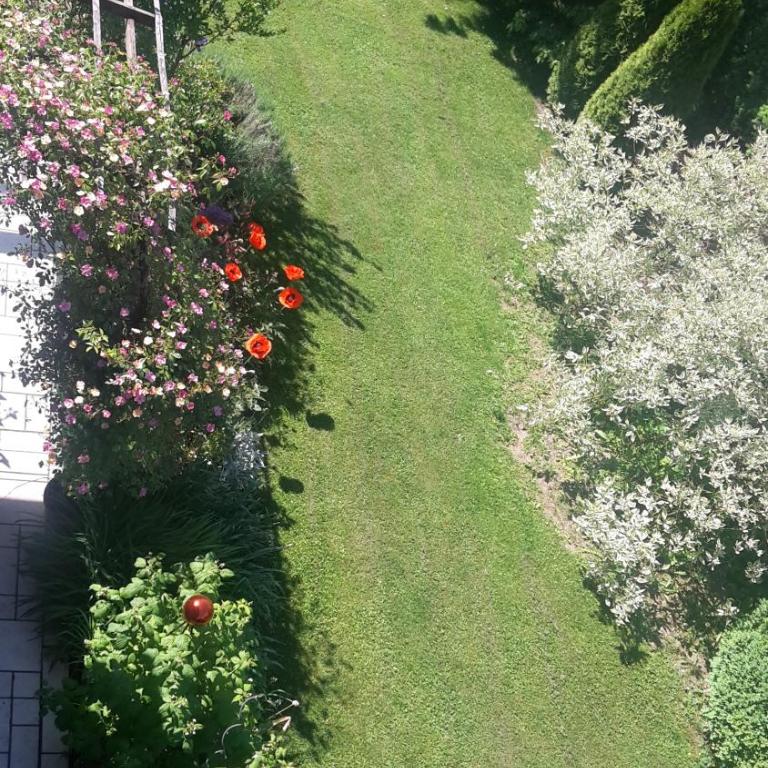Haus Elisabeth, Appartements mit eigenem Badesteg - Apartment - 21