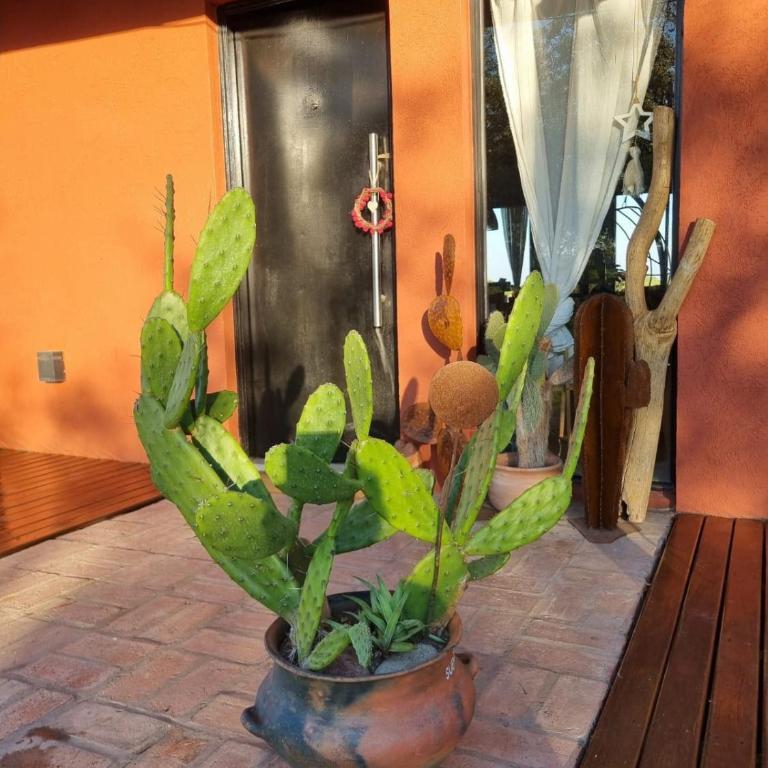 Susurros de Capilla - Casa con 1 dormitorio - 26