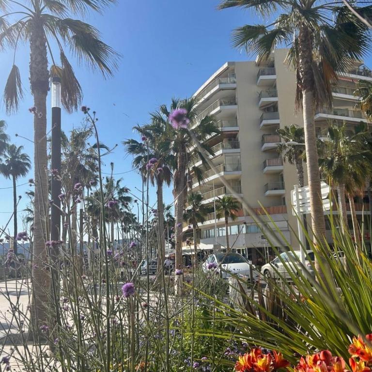 French Riviera Chic Cocoon - pool, beach, parking - Apartment mit 1 Schlafzimmer - 13