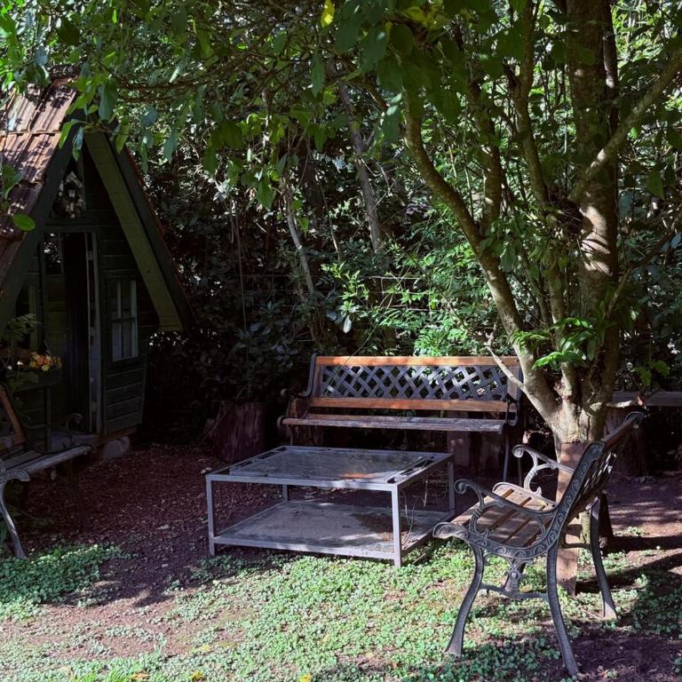 Un Espacio de Buscadores - Casa de 4 dormitorios - 27