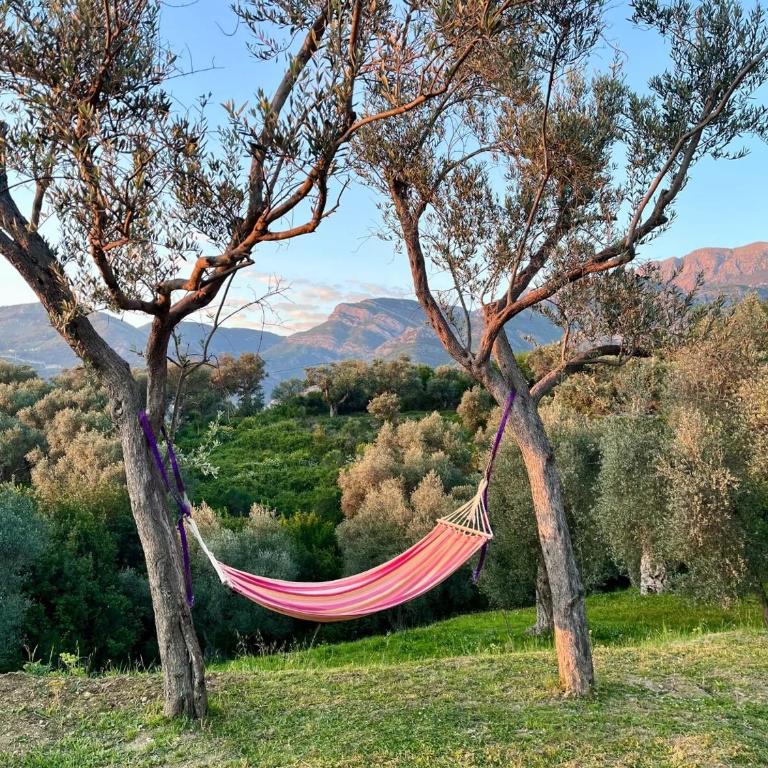 Whisper of Olives - One-Bedroom Apartment - 1