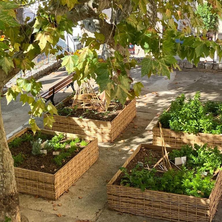 "La Piol" au cœur du vieux centre de Hyères - Appartement - 13