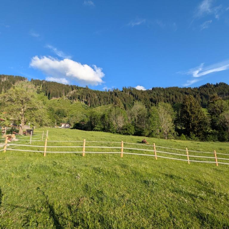 Chalet Berg & Balance - Whirlpool, Natur, Auszeit - Chalet mit 1 Schlafzimmer - 30