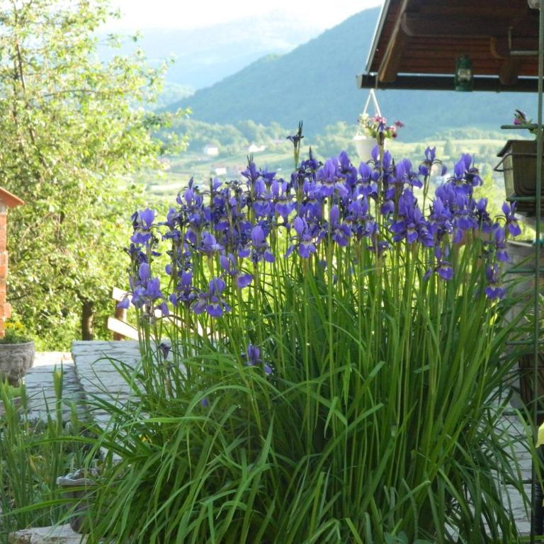 Holiday Home Nektar Park - Vacation Home - 26