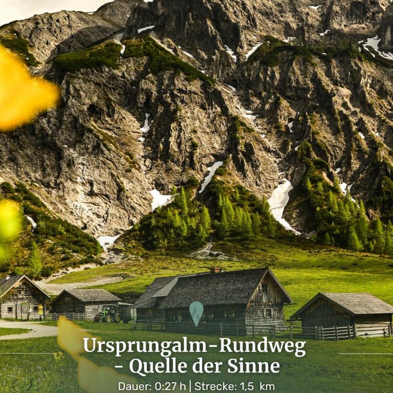 Alpin Studio Schladming 202 - Apartment mit 2 Schlafzimmern - 37