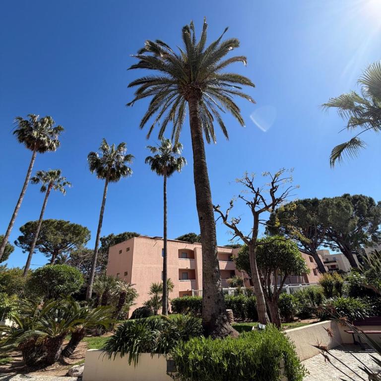 Appartement entre Cannes et Antibes - Appartement 1 Chambre - 4