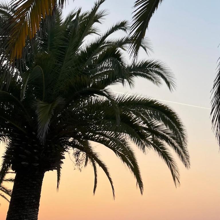 Appartement entre Cannes et Antibes - Appartement 1 Chambre - 11