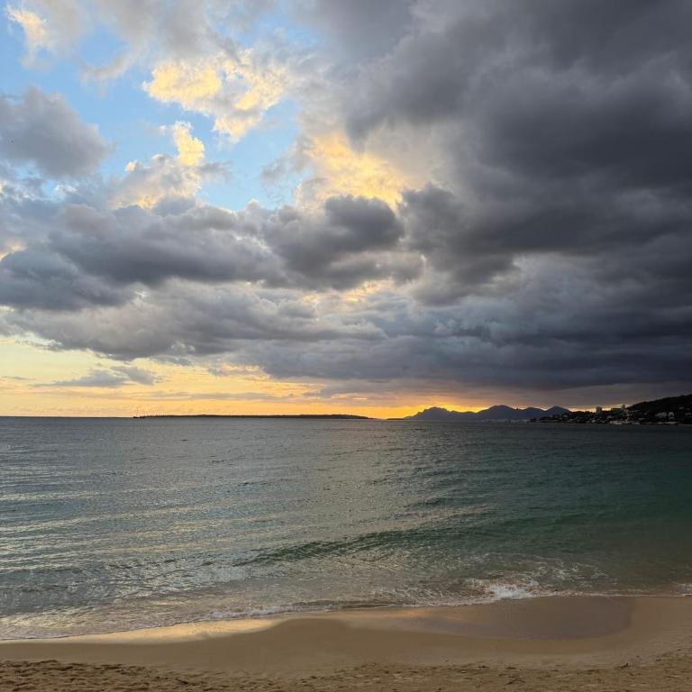 Appartement entre Cannes et Antibes - Appartement 1 Chambre - 23