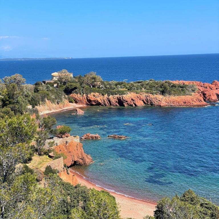 Appartement entre Cannes et Antibes - Appartement 1 Chambre - 26