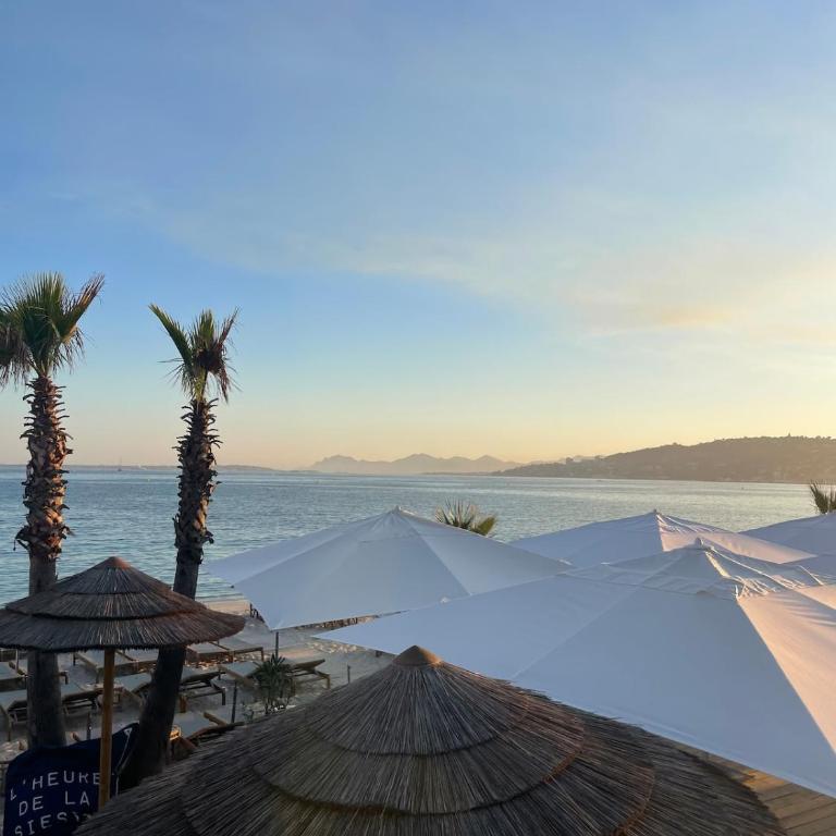 Appartement entre Cannes et Antibes - Appartement 1 Chambre - 32