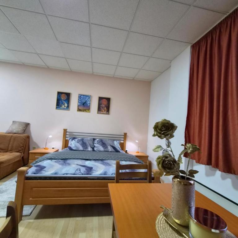 Smiljković Centar - One-Bedroom Apartment - 5