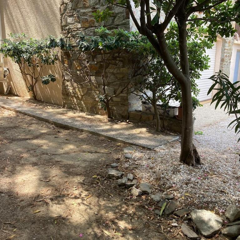 Appartement pieds dans l'eau - Appartamento con 2 Camere da Letto - 3