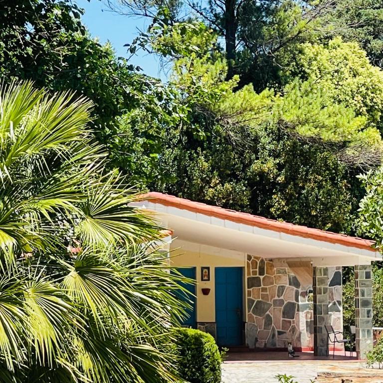 Casona Bella Vista - Casa de 2 dormitorios - 4