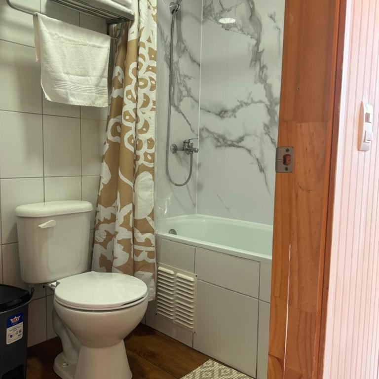 Cabañas Bosque Sur - Apartamento Estudio - 11