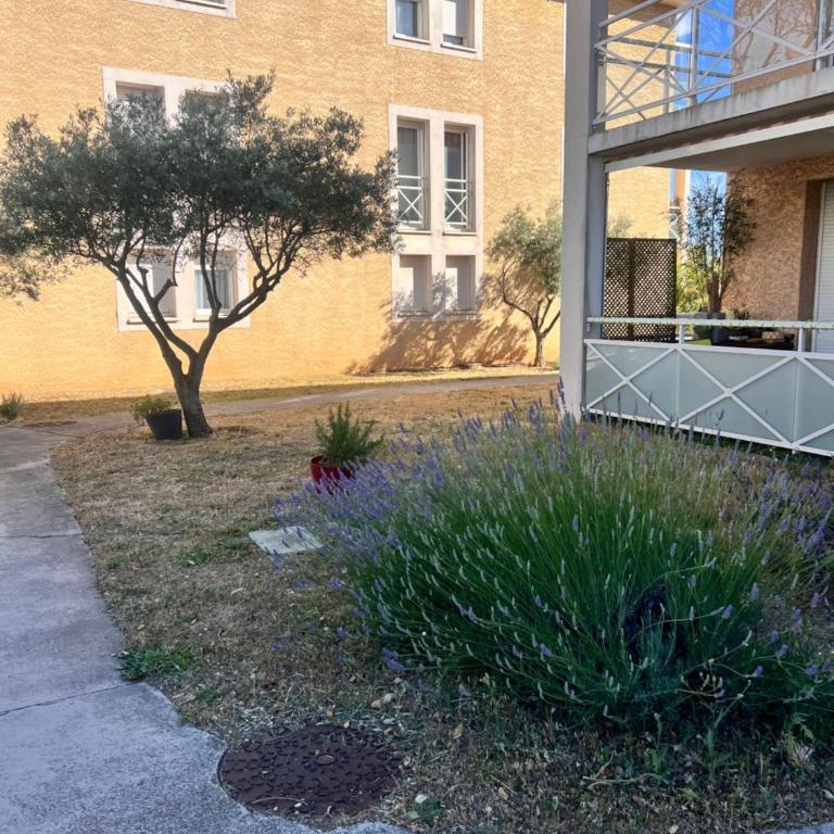 Entre port et plage - Appartement 1 Chambre - 17
