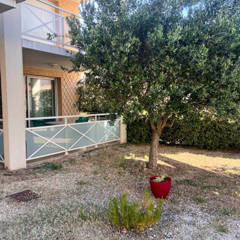Entre port et plage - Appartement 1 Chambre - 15