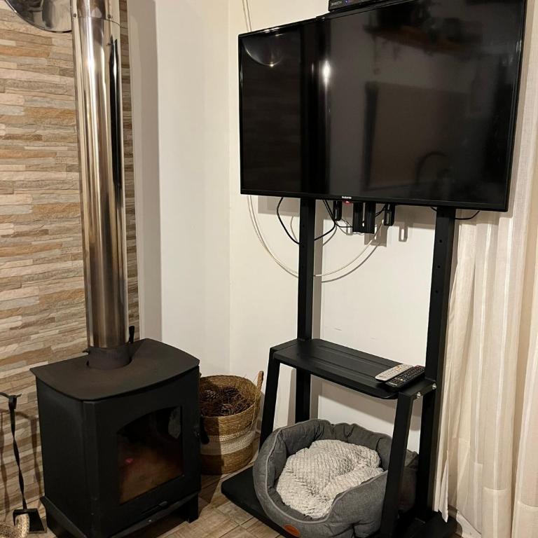 Rincon de los Michis - One-Bedroom House - 6